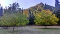 /album/ruta-avellanares-nacimiento/dsc-0524-jpg/