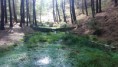 /album/ruta-avellanares-nacimiento/dsc-0542-jpg/