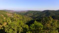 /album/ruta-campamentos-tejo-milenario/dsc-0442-jpg/