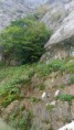 /album/ruta-campamentos-tejo-milenario/dsc-0511-jpg/