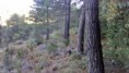 /album/ruta-campamento-piscina/dsc-0225-jpg/