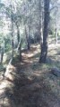 /album/ruta-campamento-piscina/dsc-0182-jpg1/