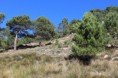 /album/ruta-pico-padron/img-1360-jpg/