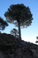 /album/ruta-pico-padron/img-1249-jpg/