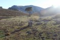 /album/ruta-pico-la-sarga/img-1403-jpg/