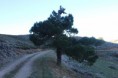 /album/ruta-pico-la-sarga/img-1405-jpg/