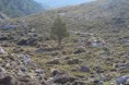 /album/ruta-pico-la-sarga/img-1408-jpg/