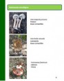 /album/folleto-rutas/a8-jpg/