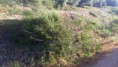 /album/ruta-migarria-noguerones/dsc-0121-jpg/